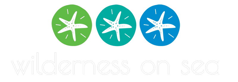 Wilderness On Sea B&B - Garden Route